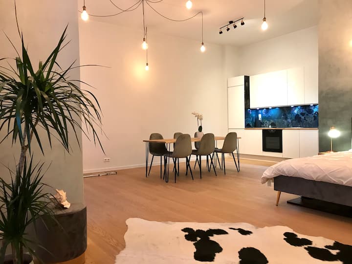 Designer Open Plan Modern Apartment Near The River - Berlin
