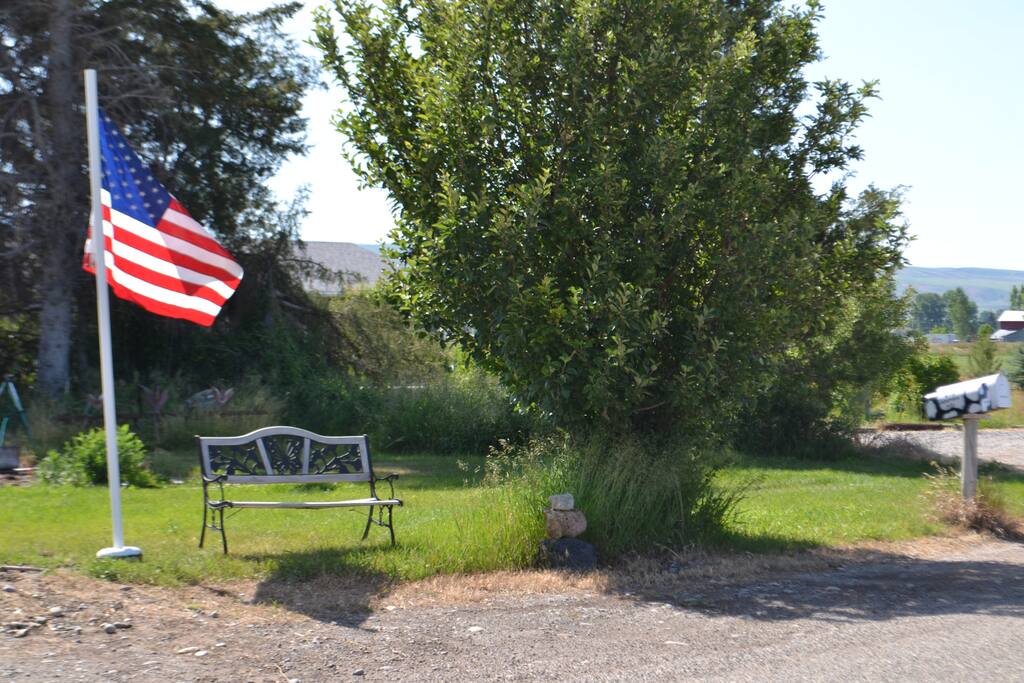 This is the first thing that you see alongside the road by our mailbox.