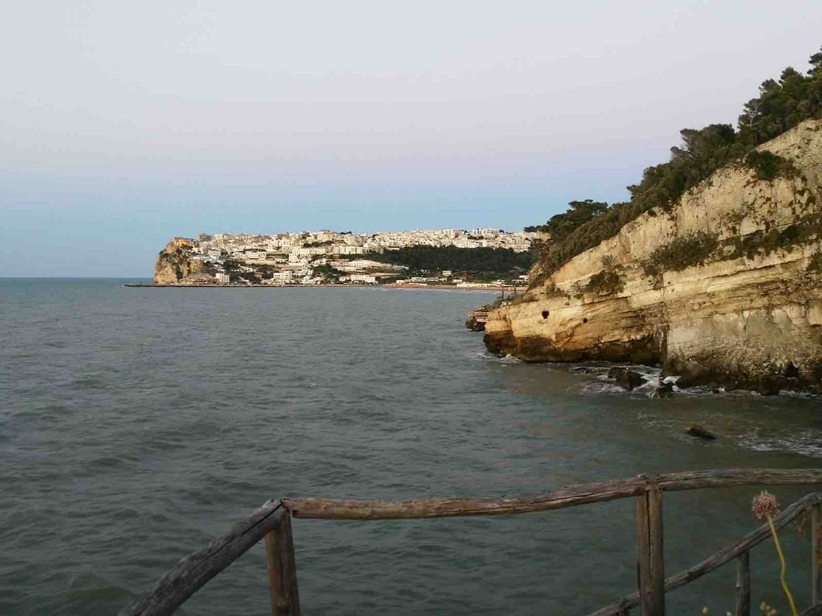 A coastal view features gentle waves lapping against rocky cliffs, with the town of Peschici perched atop the hills in the background. The shoreline is lined with trees, while the sky transitions into soft evening hues above the horizon.