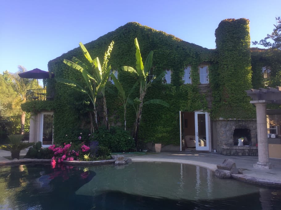 Tropical landscaping