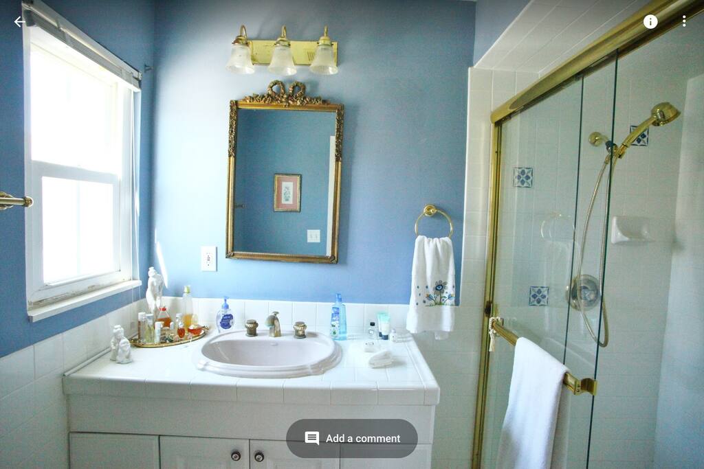 Master bathroom
