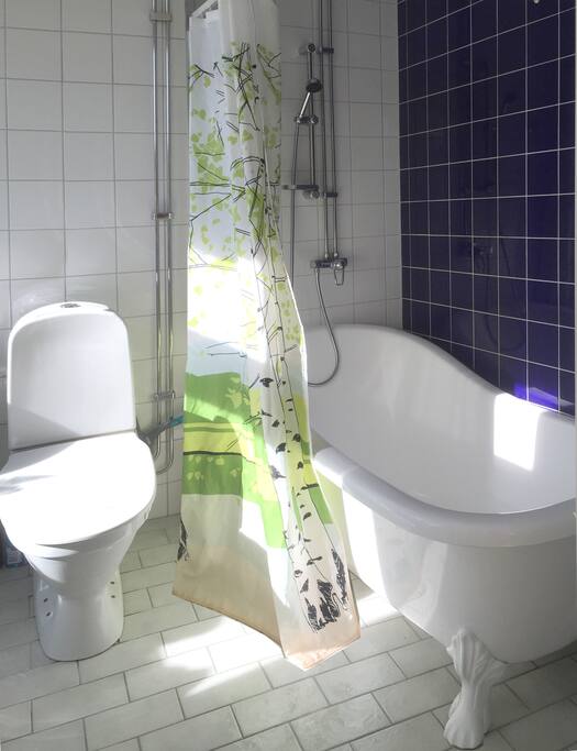 wc and bathtub