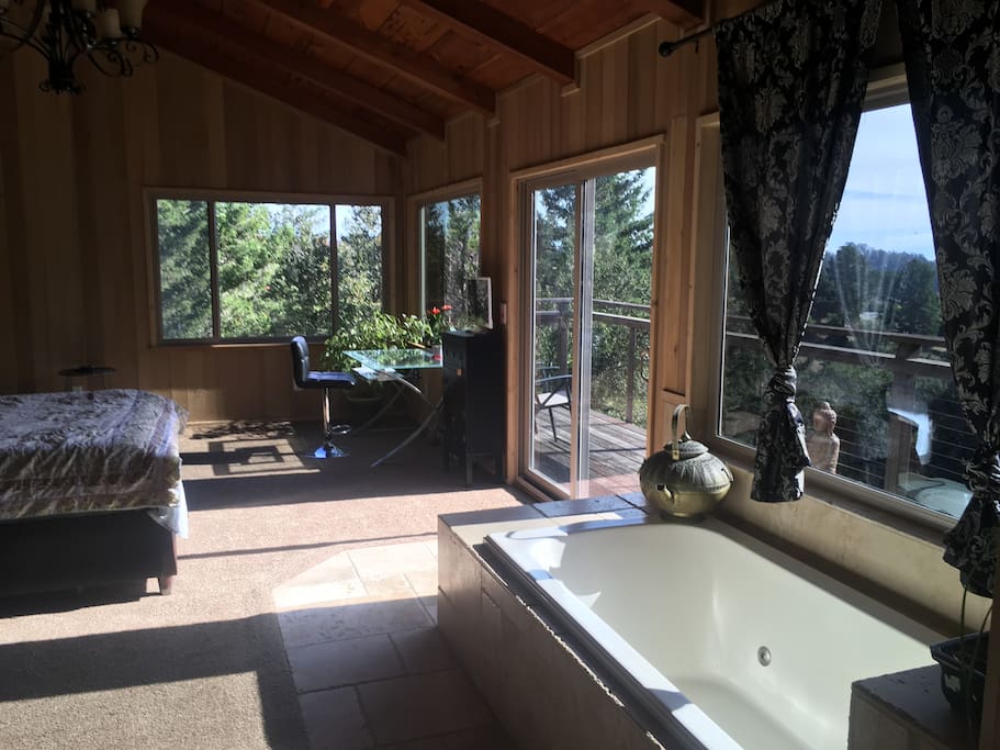 Jacuzzi in bedroom, wall to wall tile bathroom with dual headed shower.
