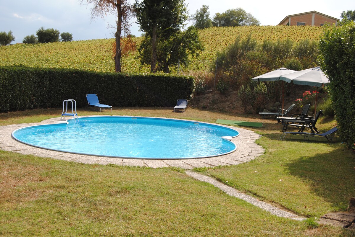A circular pool with clear blue water is surrounded by a manicured lawn. Several loungers are positioned nearby, including two under a large umbrella. Lush greenery and a gently sloping vineyard landscape provide a serene backdrop.