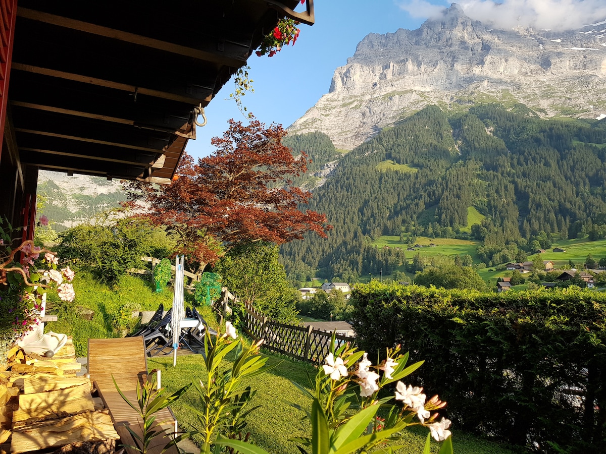 The view showcases a lush green landscape framed by majestic mountains. A patio area features outdoor seating, surrounded by flowering plants and shrubs. In the distance, charming houses are nestled among the trees, contributing to the serene atmosphere of the surroundings.