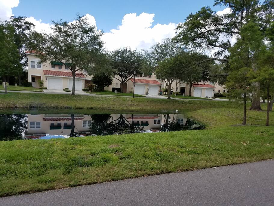 Community Pond with Turtles and Ducks