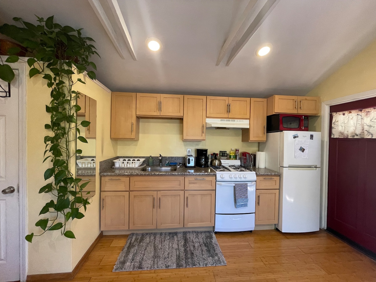A well-equipped kitchen features light wood cabinetry and a marble countertop. Essential appliances such as a gas stove, refrigerator, and microwave are visible. A hanging plant adds a touch of greenery, while light floods the space through a nearby window.