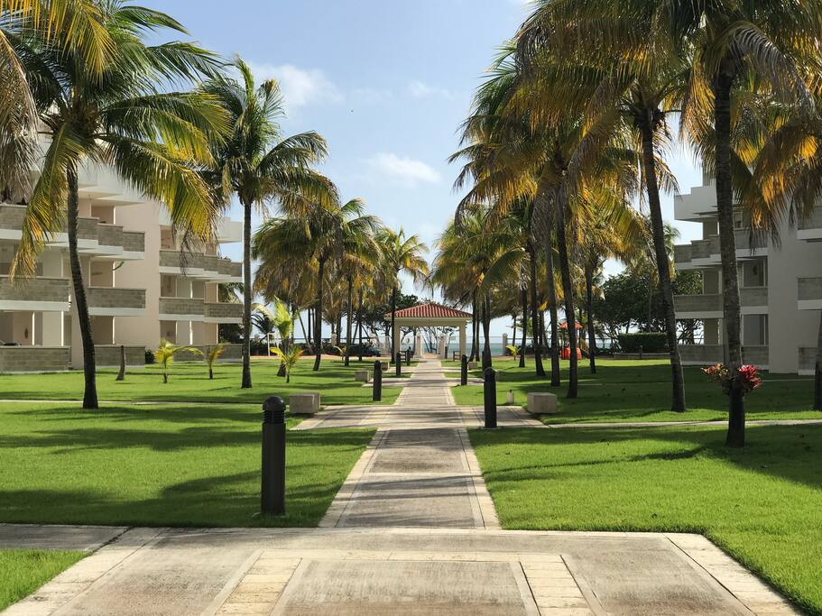 Walk Way to the Beach