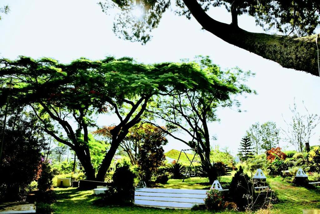 The swing set