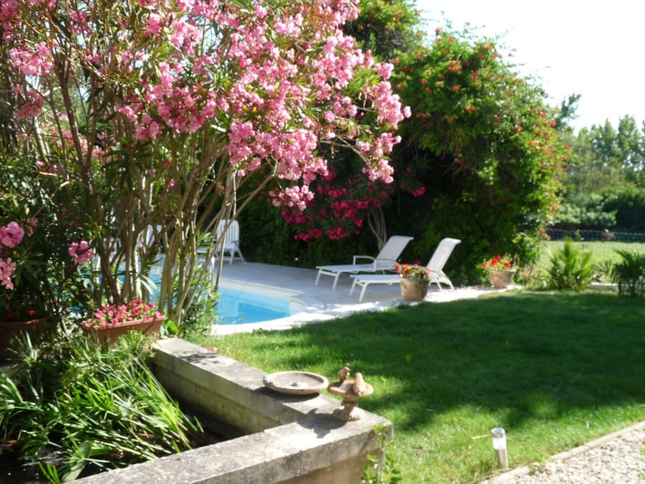 La piscine