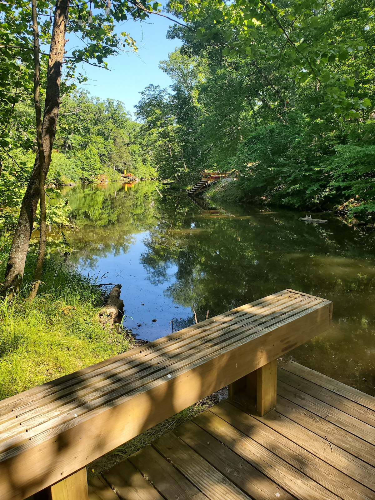 A serene spot along a tranquil creek is featured, framed by lush green trees. A wooden bench sits quietly on a deck overlooking still waters, reflecting the surrounding nature. The scene captures a peaceful retreat, inviting moments of relaxation and connection with the outdoors.