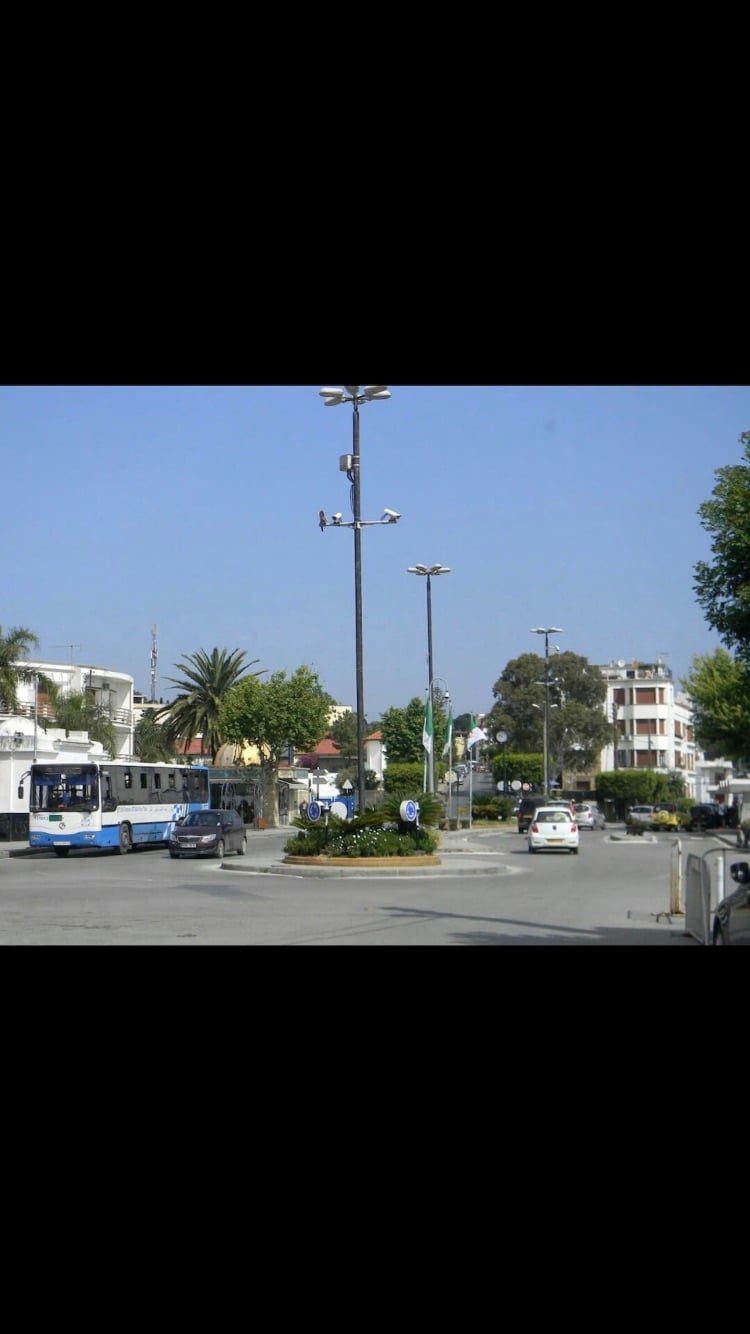 A bustling street scene is depicted, showcasing a sunny day with clear skies. Green trees line the area, providing shade. Light poles stand tall, illuminating the space, while a bus is parked at the curb, suggesting accessibility to public transport. Vehicles are seen navigating the street.
