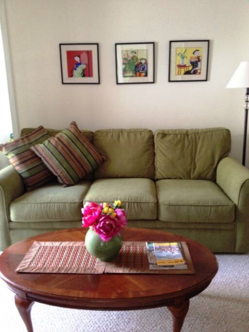Living room sofa
