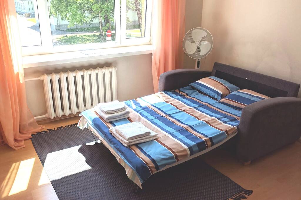 Sofa bed + Air mattress (not pictured)