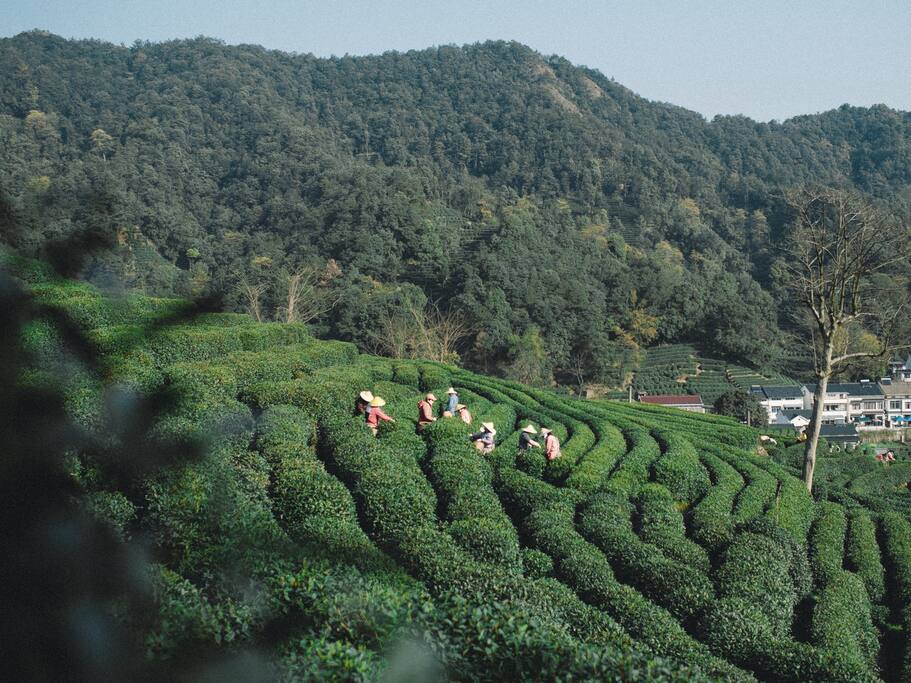 它是隐秘的城中村 杭州旅游攻略 尽在airbnb爱彼迎 它是隐秘的城中村 杭州旅游攻略 尽在airbnb爱彼迎