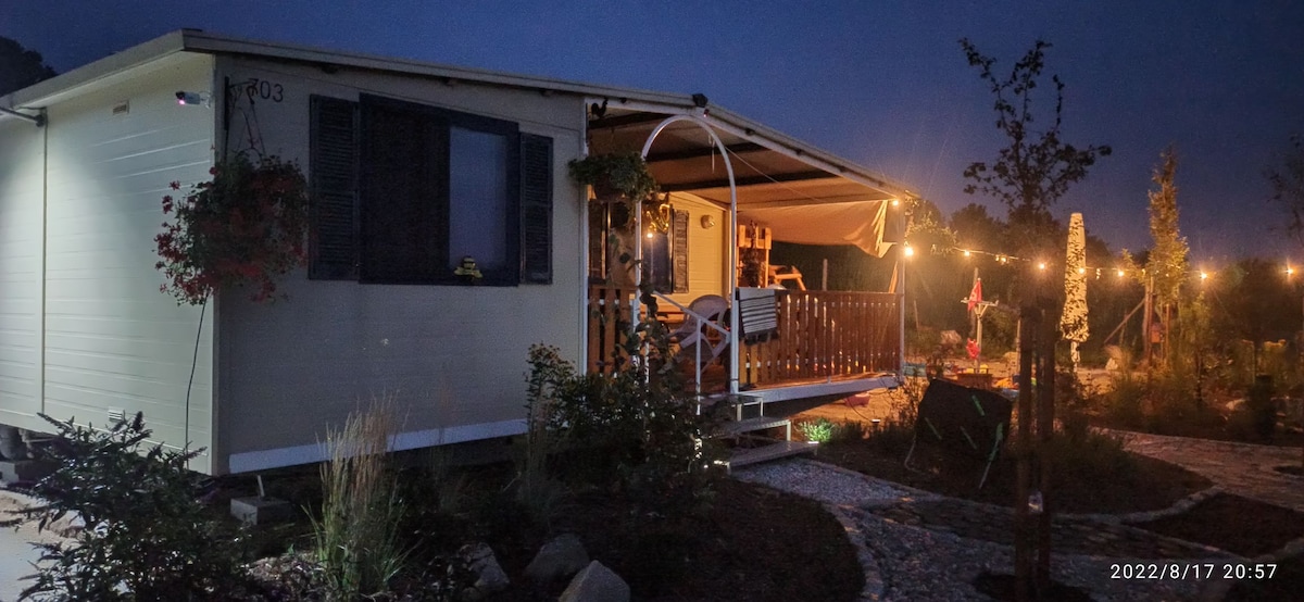 A seasonal cottage is featured, illuminated softly by outdoor lights in the evening. The entrance is framed by potted plants, and a covered porch offers outdoor seating. The surrounding garden includes stylized pathways, creating an inviting atmosphere amidst the lush greenery.