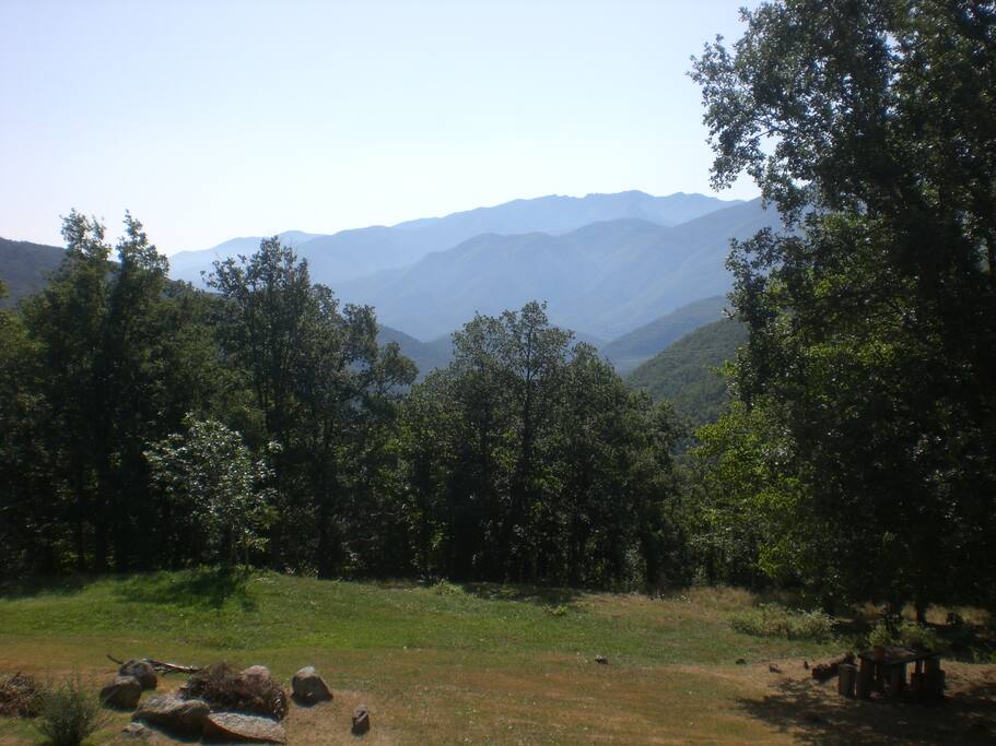 Panorama