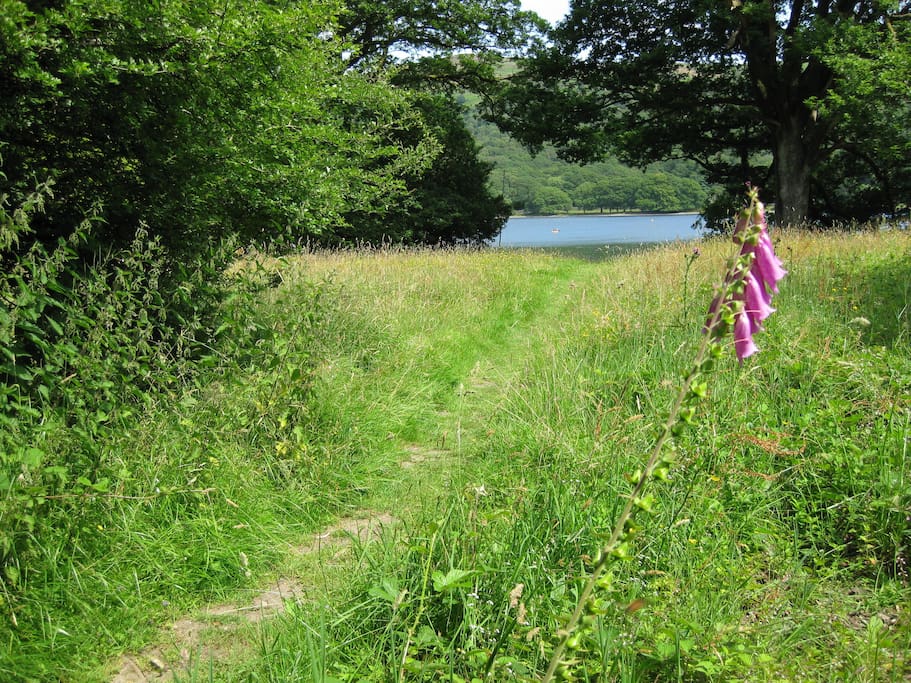Path down to Coniston lake shore from cottage