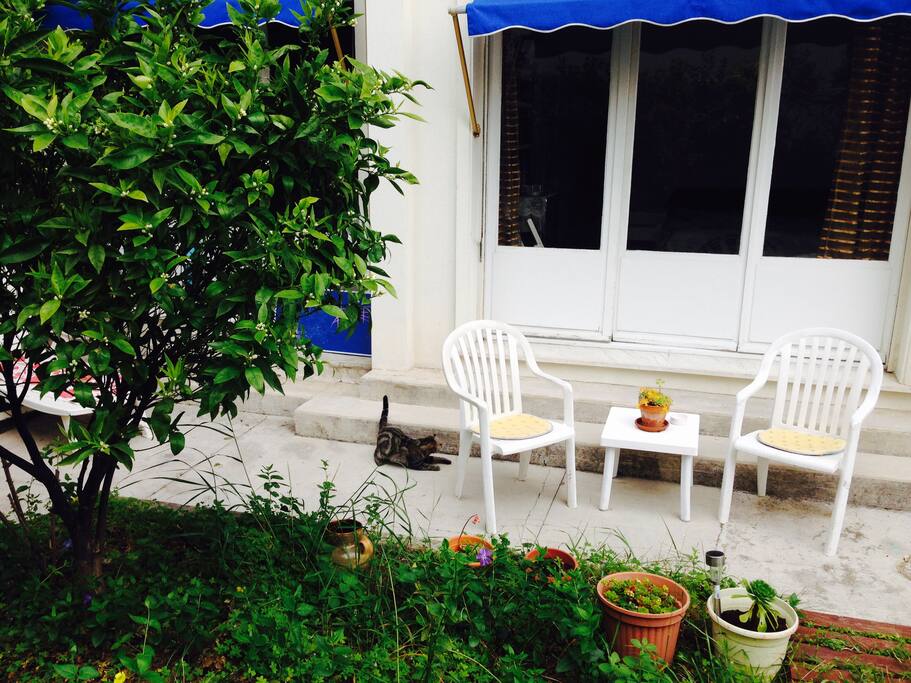 patio, private garden