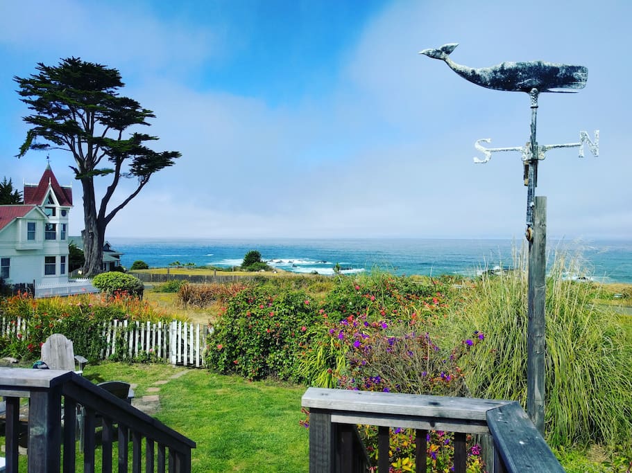 View off the back porch