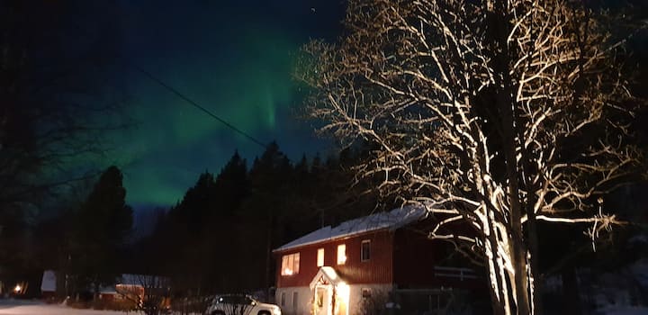 Bardu Municipality Ferienwohnungen & Unterkünfte - Norwegen | Airbnb