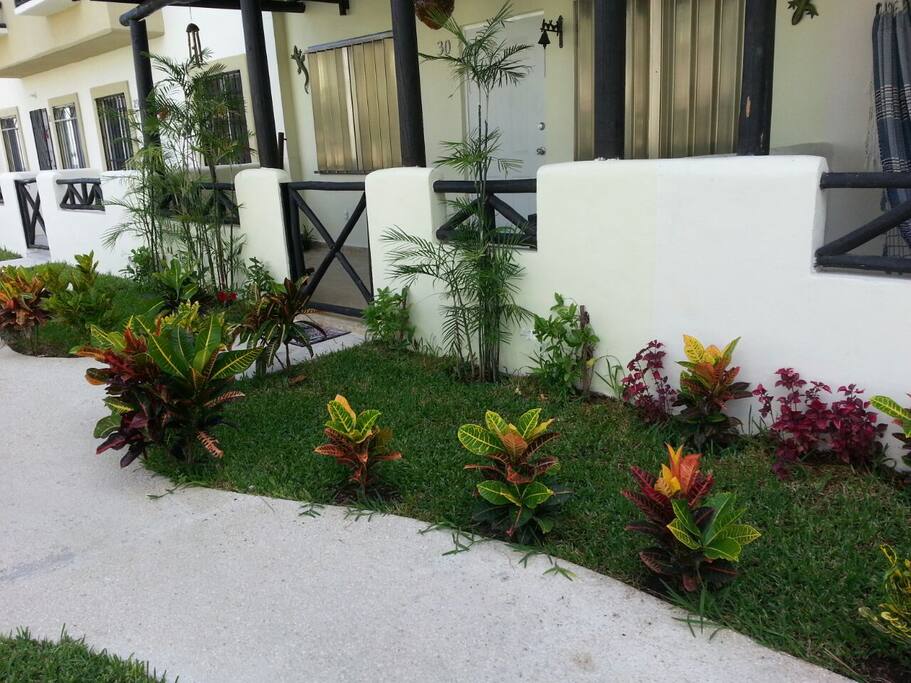 JARDIN