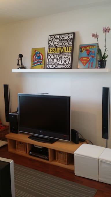 TV with good cable package (HBO Canada, AMC, TMN), stereo surround and Wii