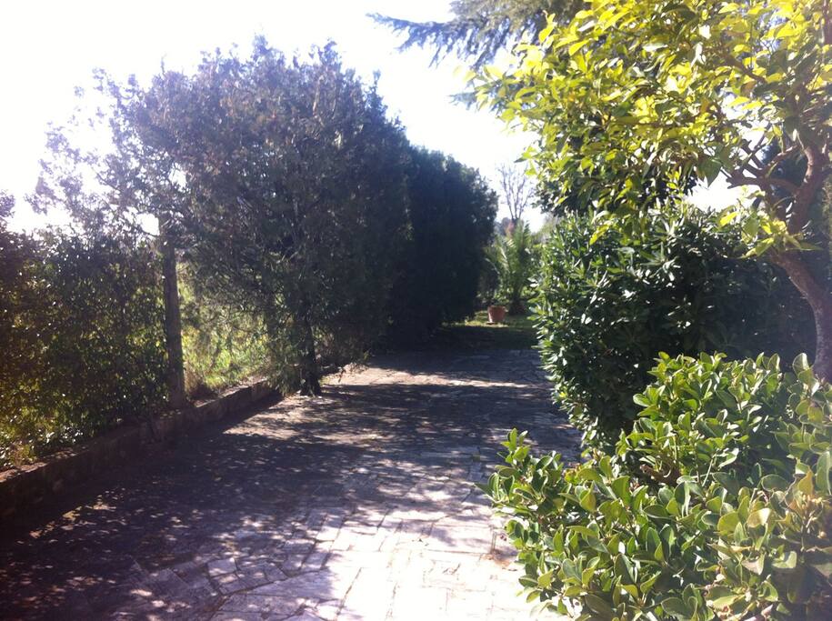 vialetto