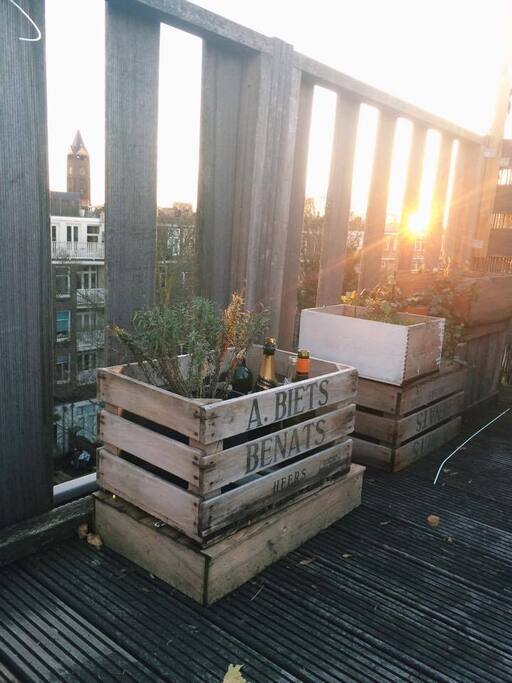 Roof terrace
