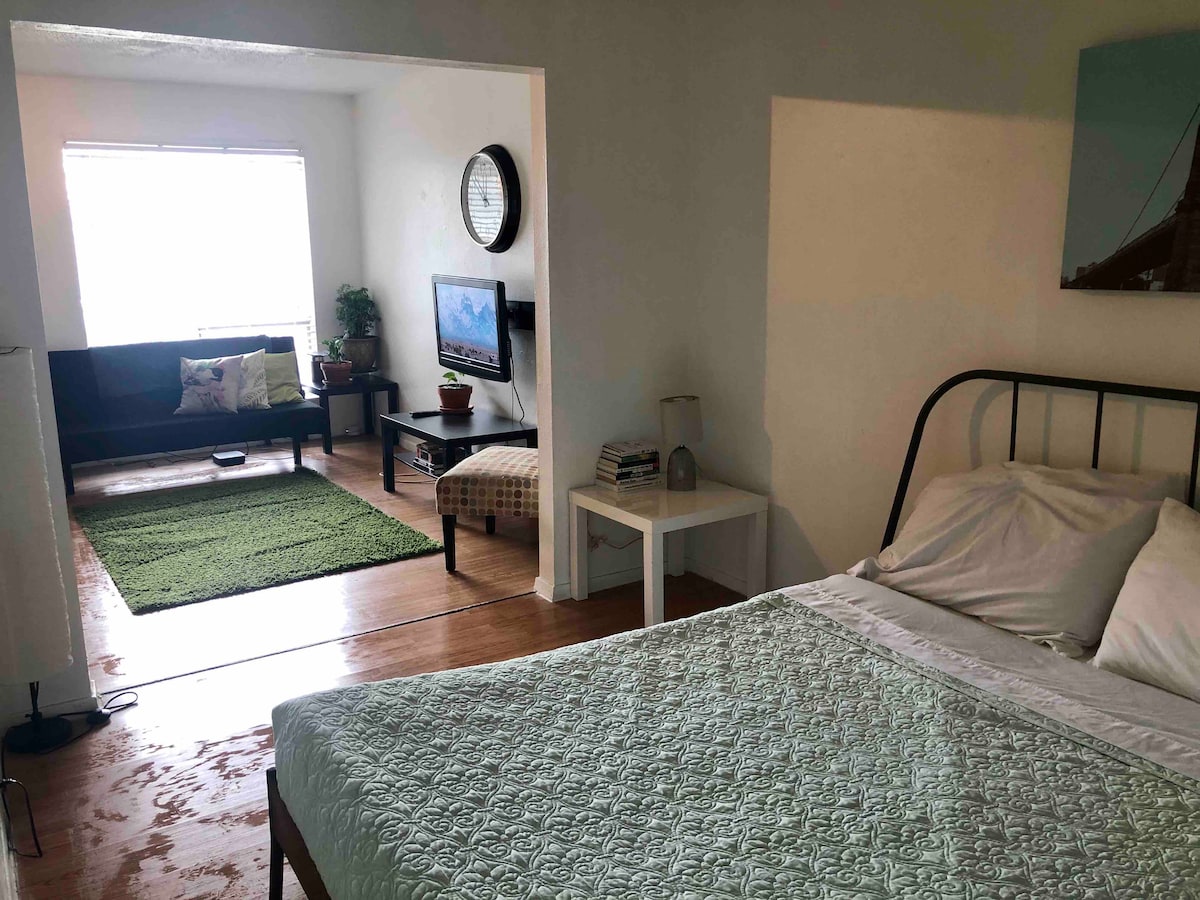 Bolm Apt 17