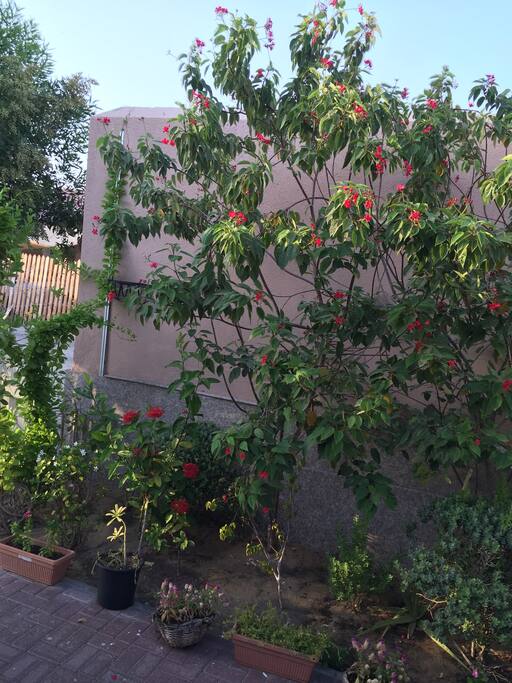 Villa entrance surrounded by trees, flowers, and bushes