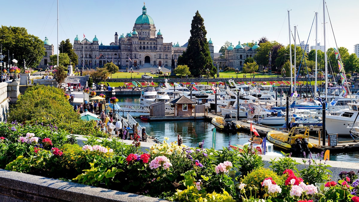 The image captures a vibrant waterfront scene filled with pleasure boats docked in a marina. Colorful flowers line the foreground, enhancing the view of a grand building in the background. People can be seen enjoying the waterside, creating a lively atmosphere.