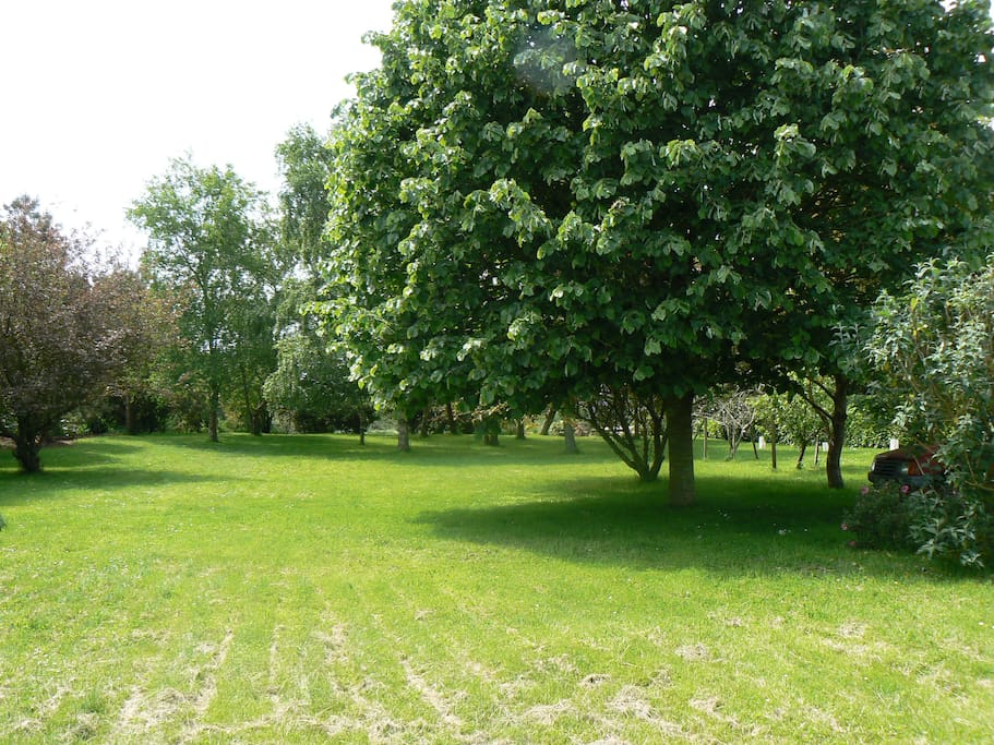 Profitez du jardin de 2200 m2 pour les jeux de plein air