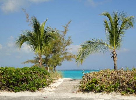 A path lined with tropical vegetation leads to a sandy beach, framed by palm trees on either side. The vibrant turquoise water is visible in the distance, complemented by a clear blue sky, creating a serene coastal atmosphere.