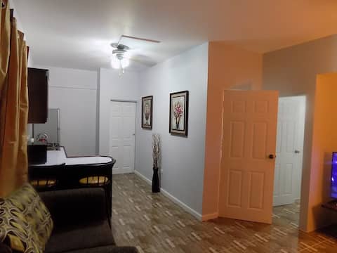Lovely Apartment in the Golden Triangle Kingston 6