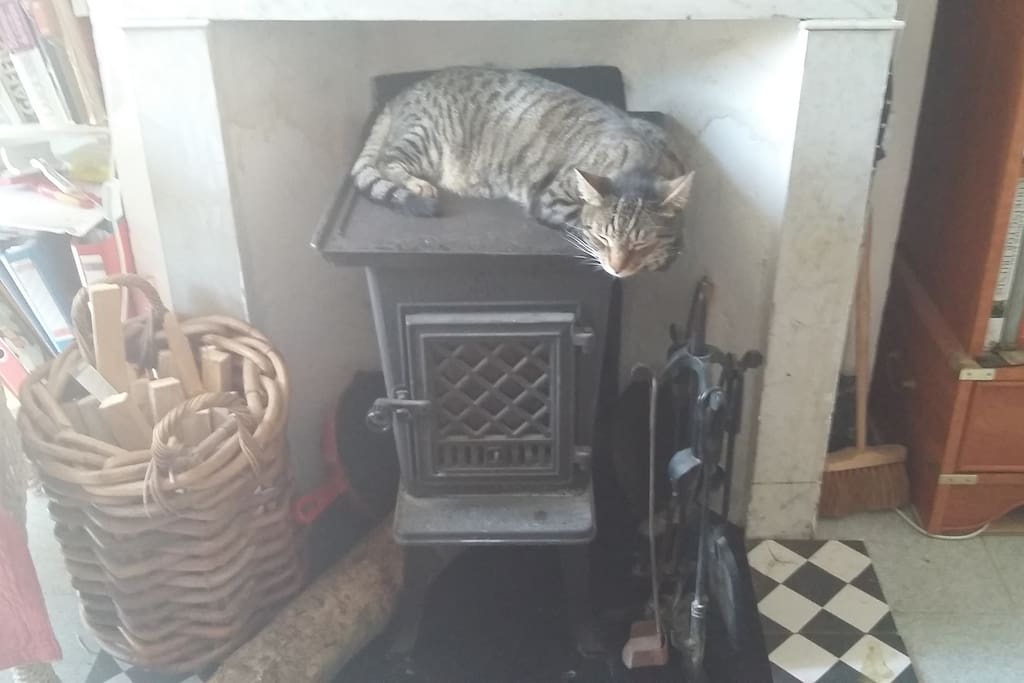Breakfast chef sleeping on the job