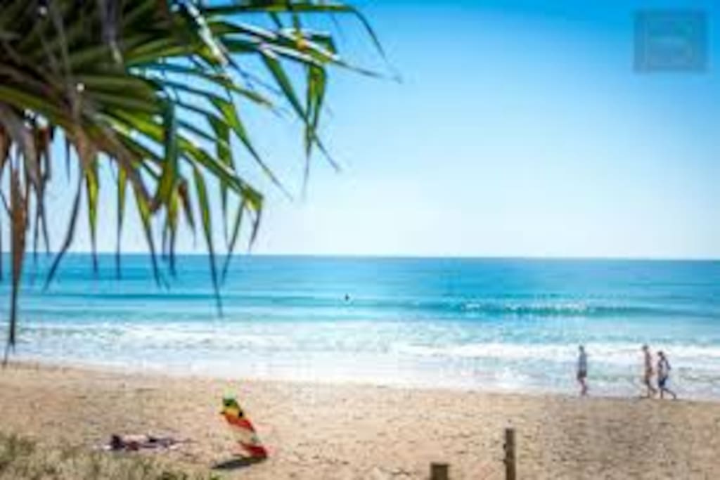 Our beautiful Maroochydore beach.