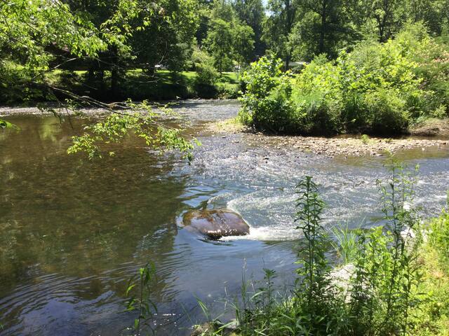 At the River.   Bryson City /Cherokee