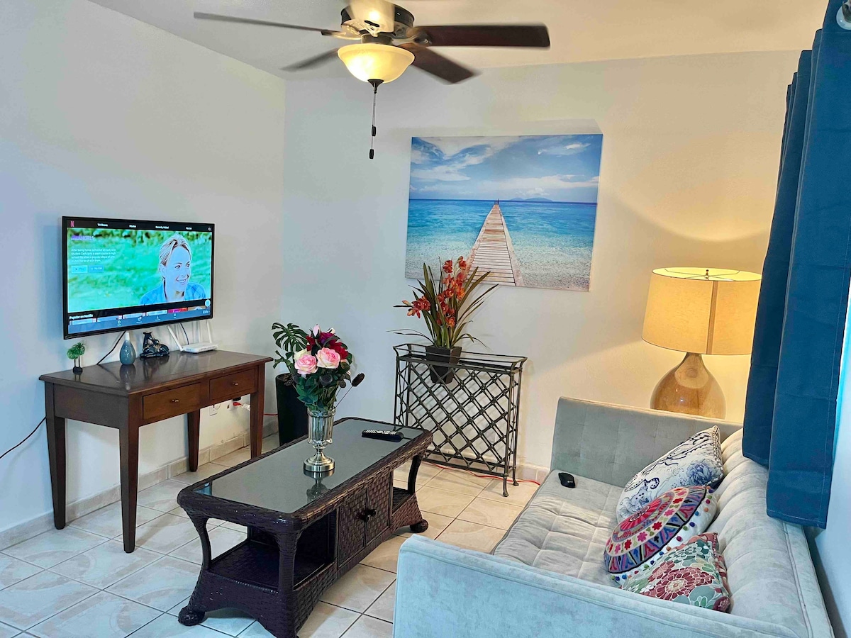Cozy 2-bedroom Apartment in Venetian Road