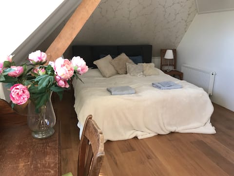 B&B In the garden of Dorth
