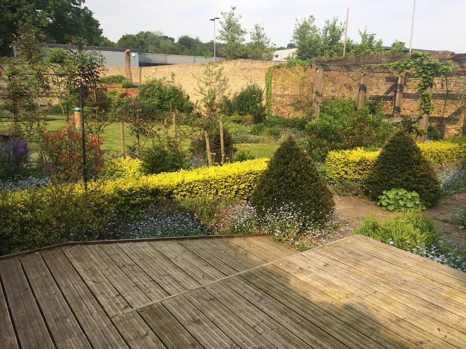Garden view