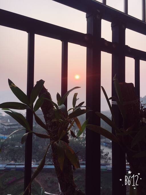 阳台有十平米左右。