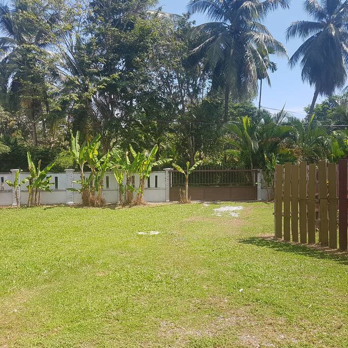 Lawn and parking area