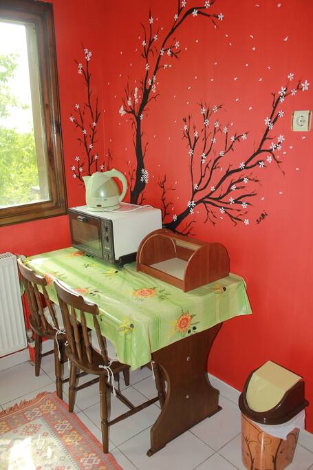 dining chairs in the kitchen