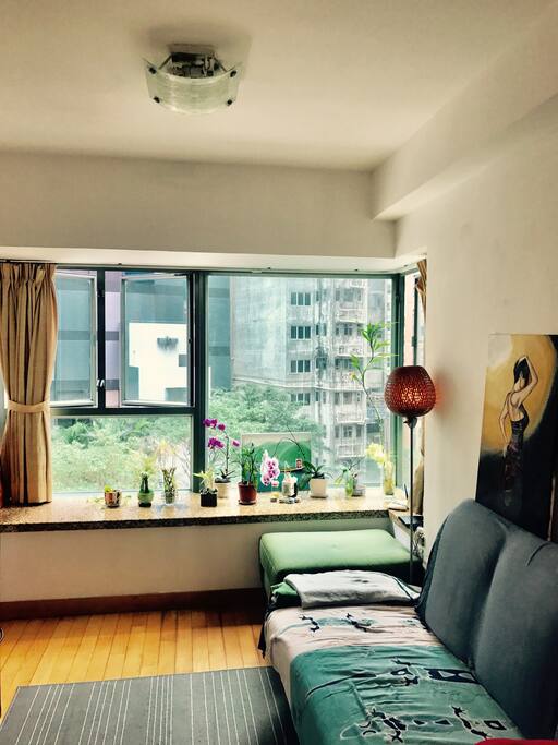 Living room and lovely couch