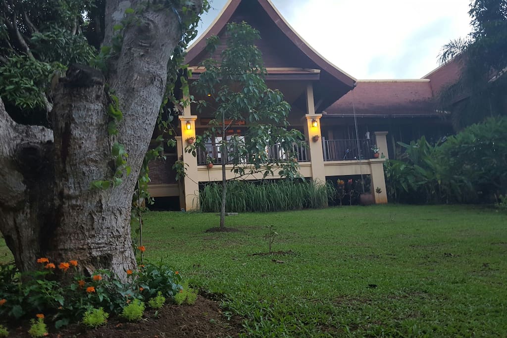 Back yard of your accommodation