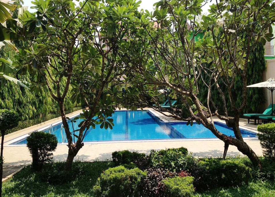 Poolside with garden view