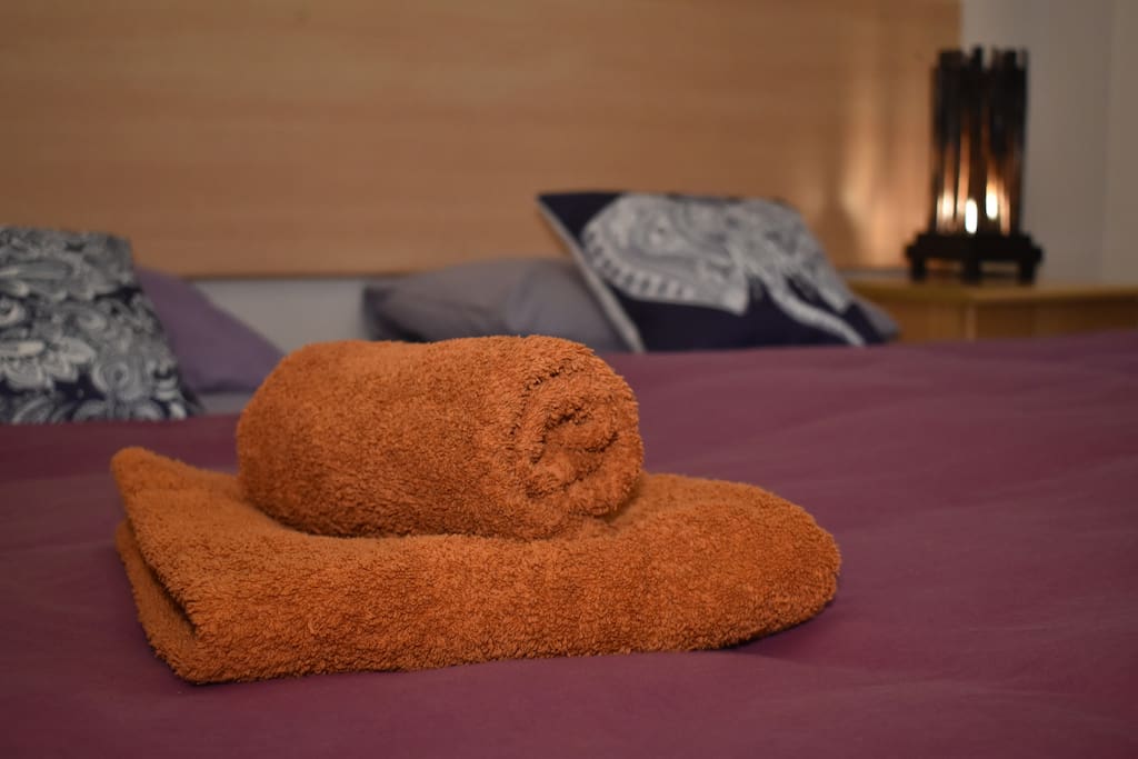 We provide 2 sleeping pillows each person and 1 big & 1 small luxury towels to each person !