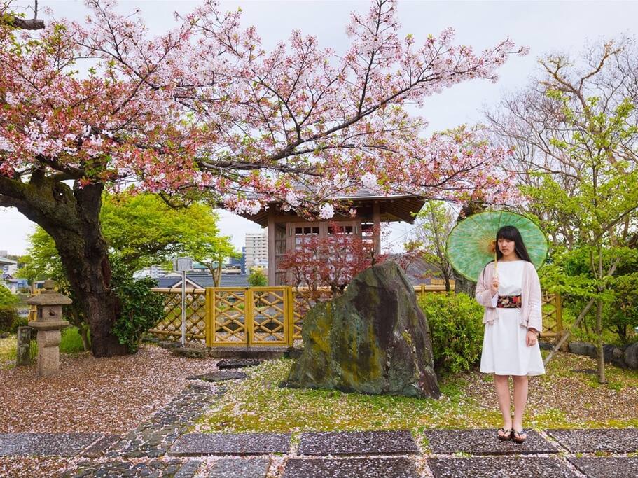 一人独享樱花满开的侘寂庭院 京都旅游攻略 尽在airbnb爱彼迎 一人独享樱花满开的侘寂庭院 京都旅游攻略 尽在airbnb爱彼迎