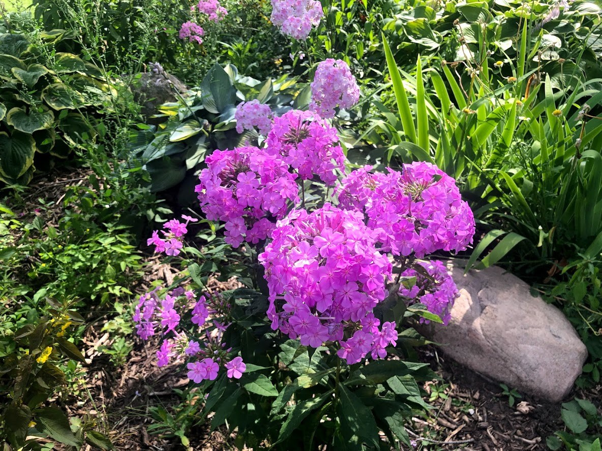 St. Paul near UofM